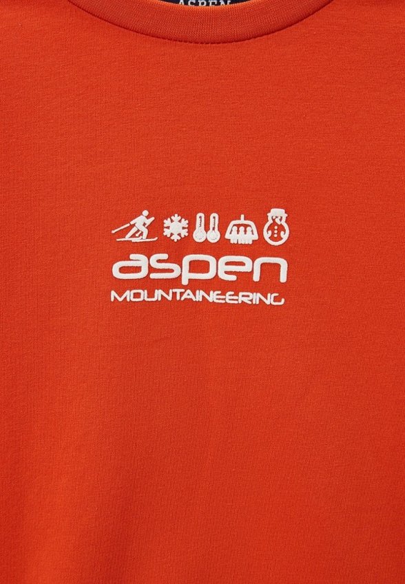 Лонгслив Aspen Polo Club