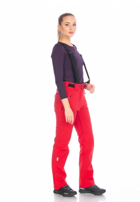 Брюки горнолыжные Forcelab