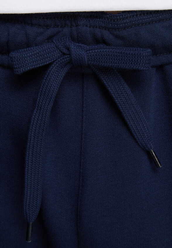 Брюки мужские GSD, Синий