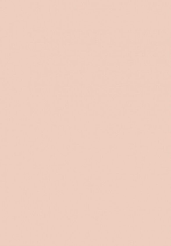 Пудра Eva Mosaic