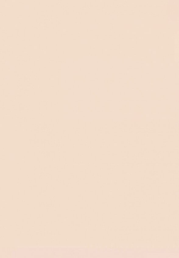 Пудра компактная Zeesea