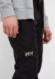 Брюки горнолыжные Helly Hansen4  - превью