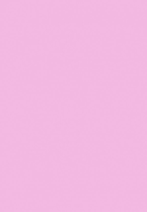 Тени для век Arive Makeup