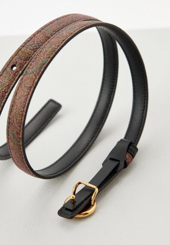 Ремень Etro