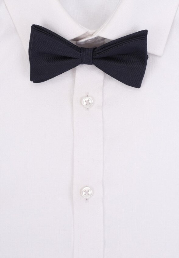 Бабочка Mango Man