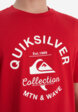 Футболка мужская Quiksilver Bombshell Flaxton, Красный6  - превью