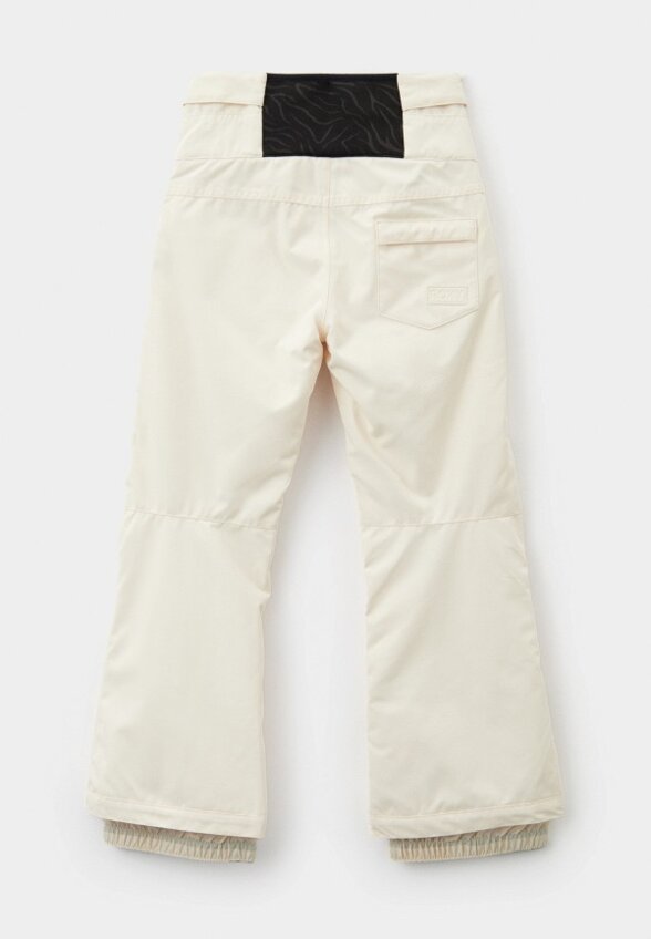 Брюки горнолыжные Roxy