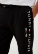Брюки спортивные Tommy Hilfiger4  - превью