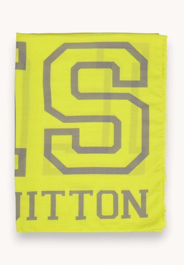 Louis Vuitton Scarf