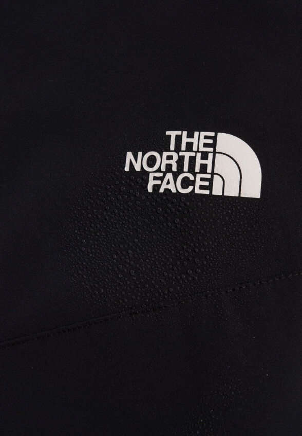 Брюки мужские The North Face Alpine Ridge, Черный