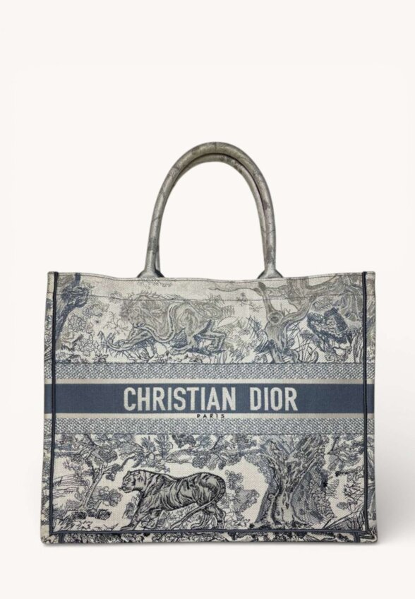 Dior Book Tote