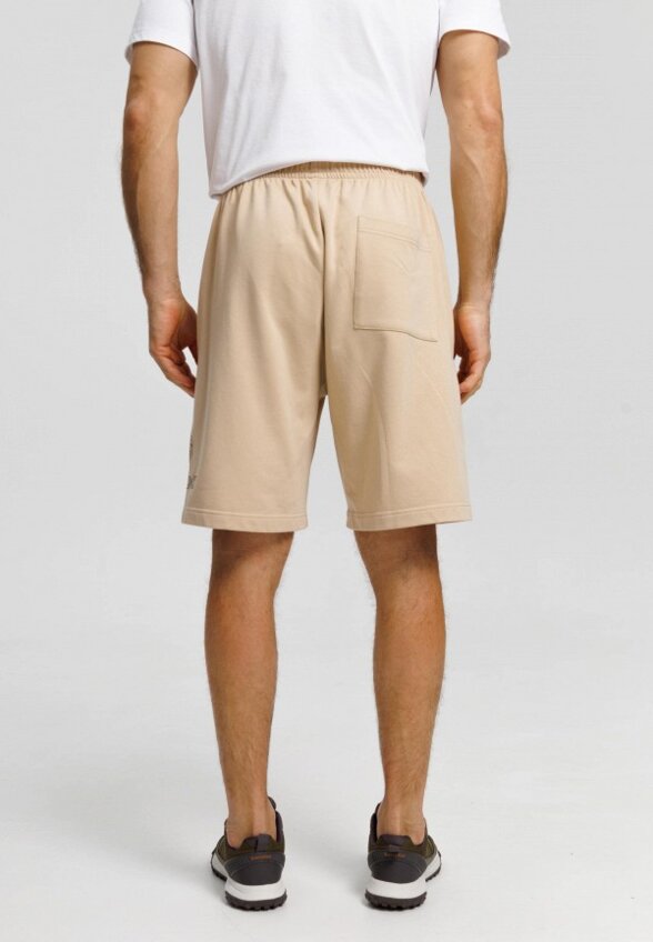 Шорты спортивные Baasploa