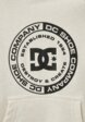 Худи DC Shoes3  - превью