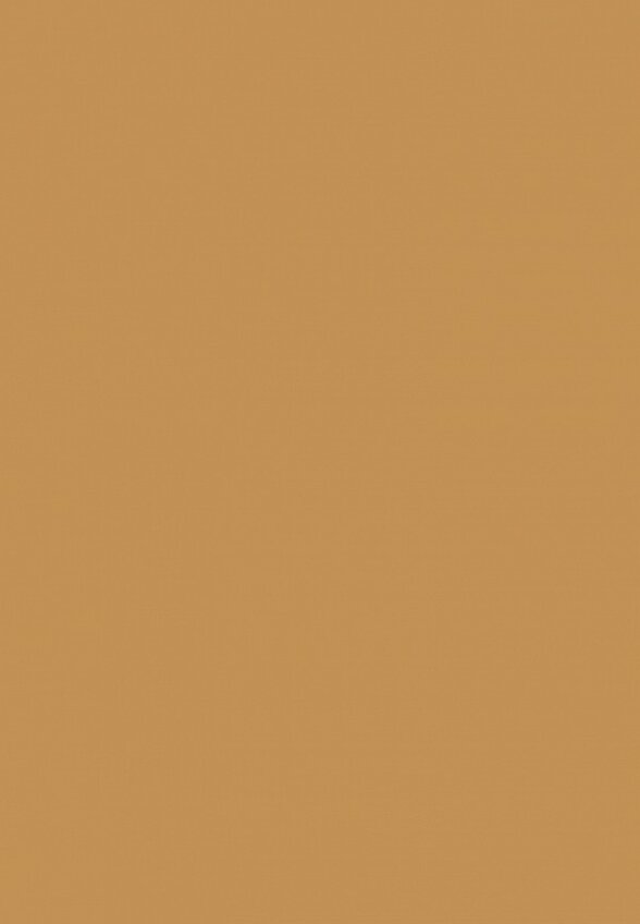 Тональный крем Arive Makeup