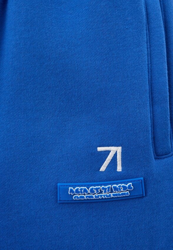 Брюки спортивные Asia st 71