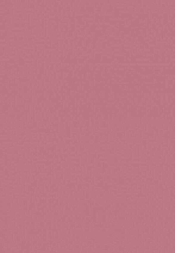 Помада Funky Monkey