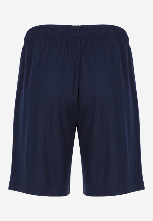 Шорты мужские PUMA Team Liga, Синий