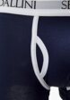 Трусы 3 шт. Sergio Dallini3  - превью