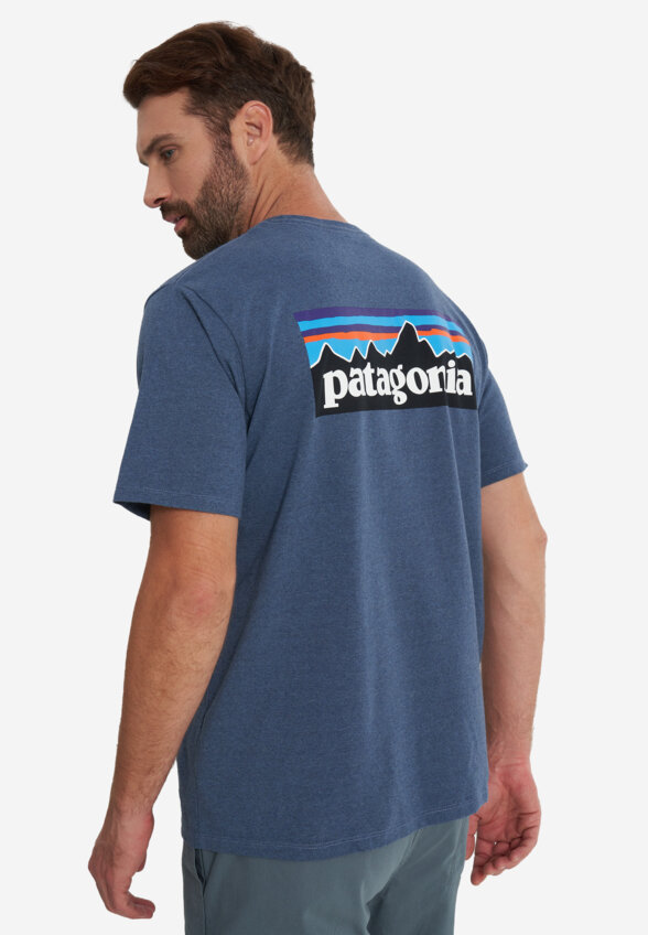 Футболка мужская Patagonia Logo, Синий