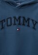 Худи Tommy Hilfiger3  - превью