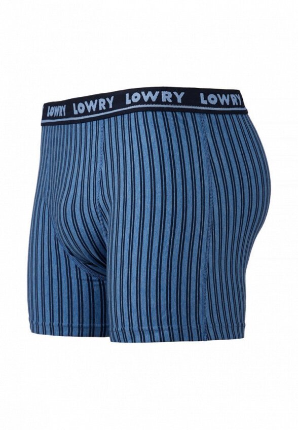 Трусы Lowry Collection