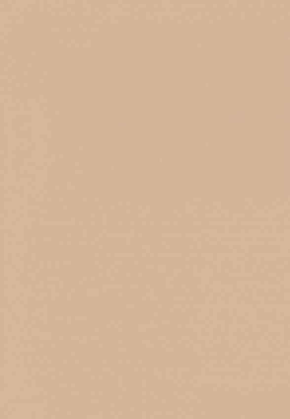 Тональный крем L'Oreal Paris