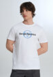 Футболка мужская Sergio Tacchini Essenziale, Белый6  - превью