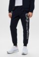 Брюки спортивные EA71  - превью