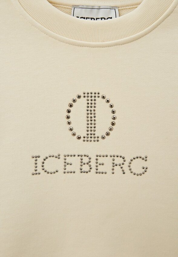Свитшот Iceberg