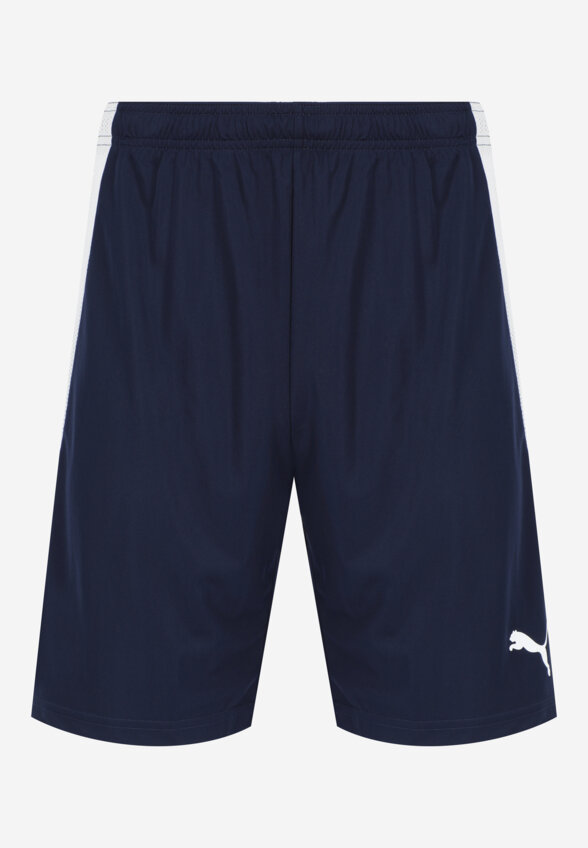 Шорты мужские PUMA Team Liga, Синий