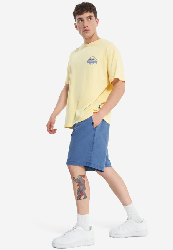 Футболка мужская оверсайз Quiksilver Crystal Jet, Желтый