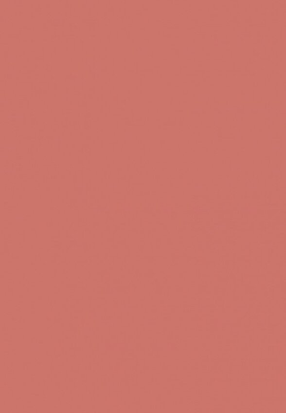 Карандаш для губ Influence Beauty