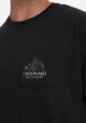 Футболка мужская Patagonia Chouinard Crest, Черный5  - превью