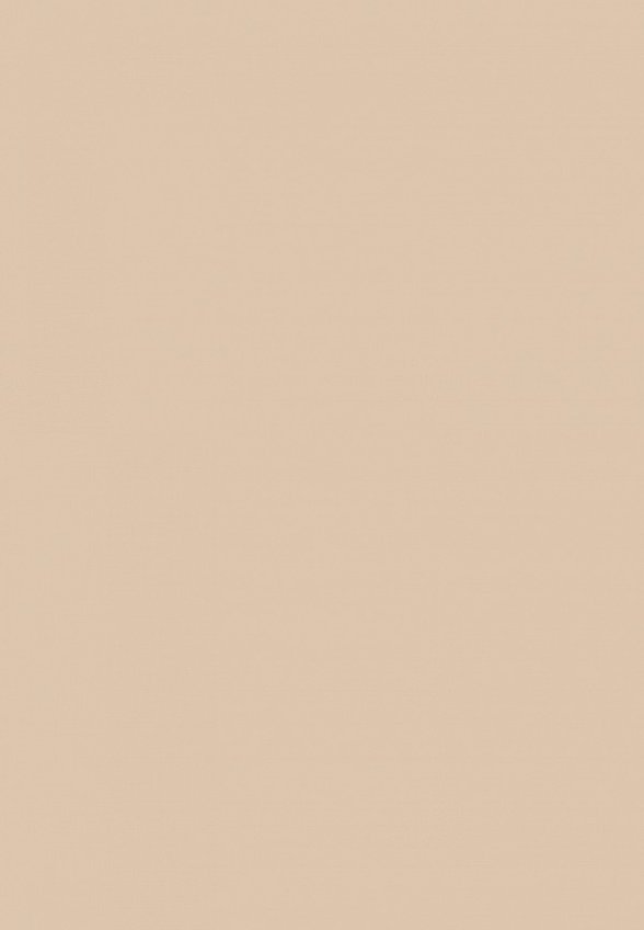 Пудра компактная MAC