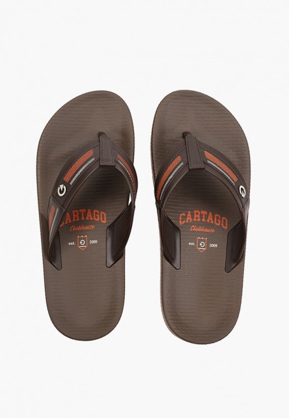 Сланцы Cartago