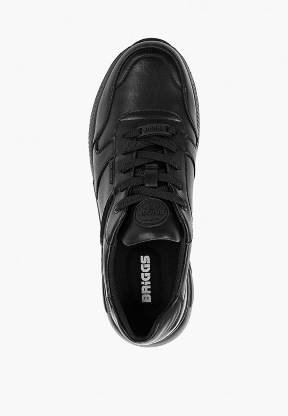 Кроссовки Briggs