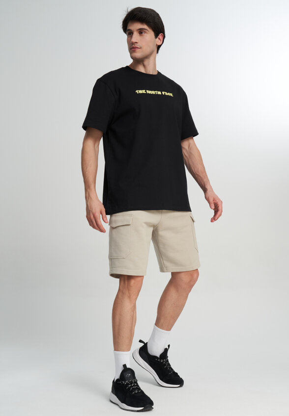 Футболка мужская The North Face Logo Twist, Черный
