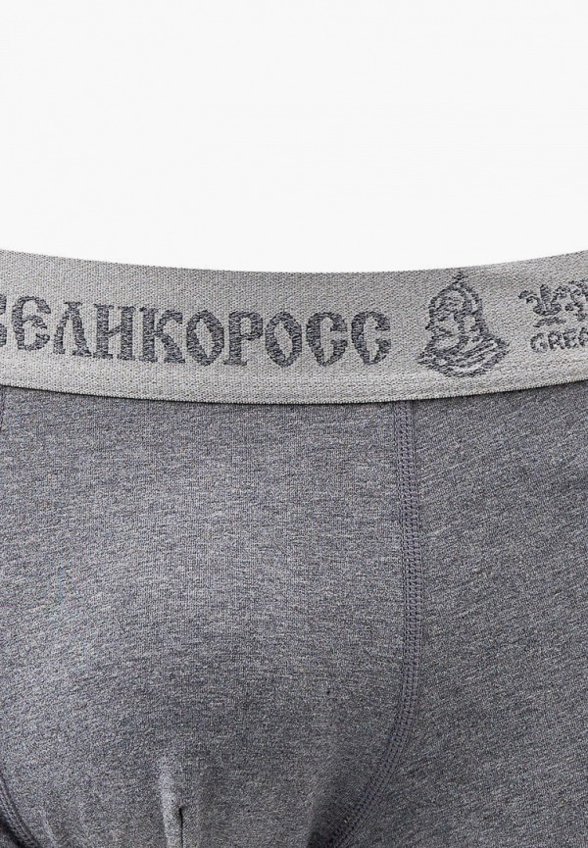 Трусы Великоросс