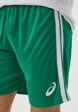 Шорты спортивные ASICS4  - превью
