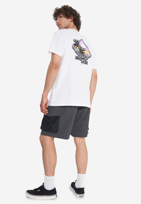 Футболка мужская Quiksilver Palm Square, Белый