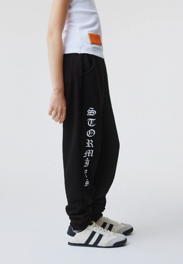 Брюки спортивные Stormies