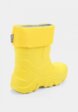 Сапоги резиновые Котофей3  - превью