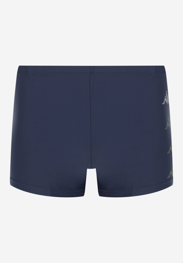 Плавки-шорты мужские Kappa, Синий