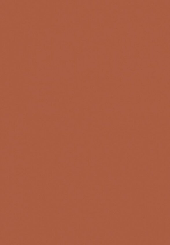 Помада жидкая Zeesea