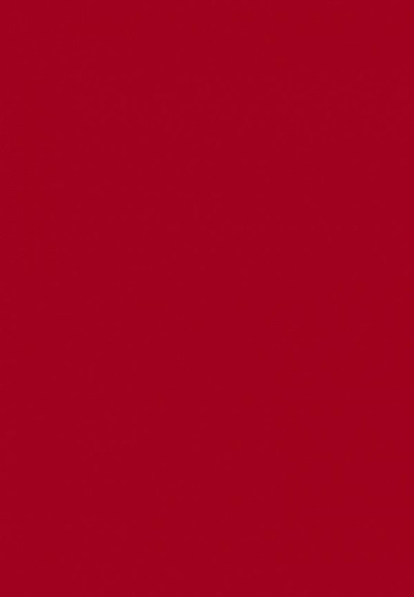 Тинт для губ Ninelle