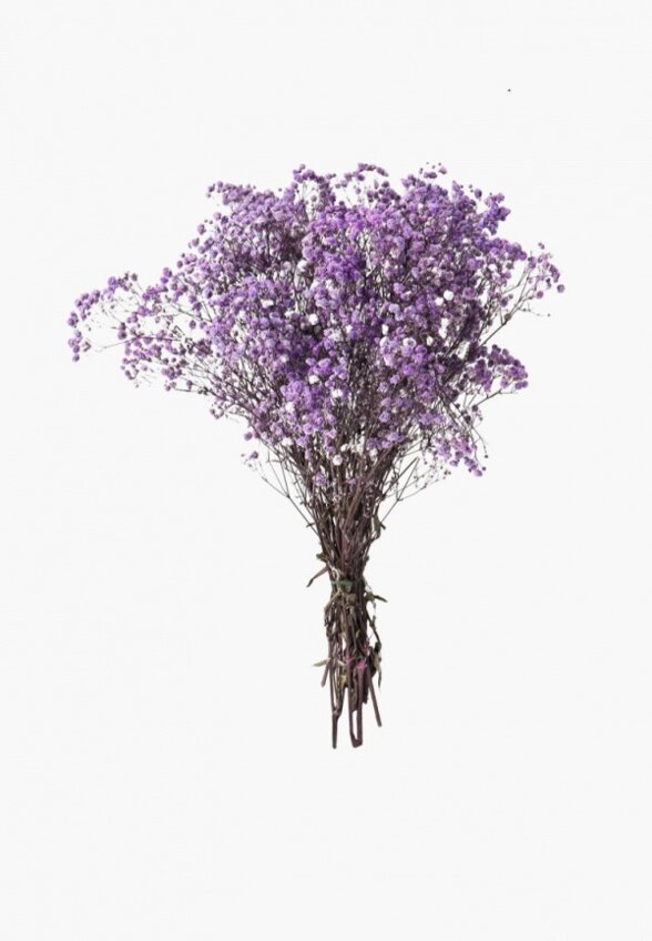 Растение искусственное Mandarin Decor