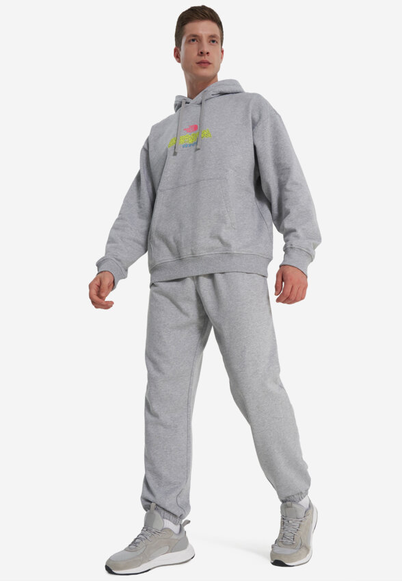 Брюки мужские The North Face Expedition Celebration, Серый