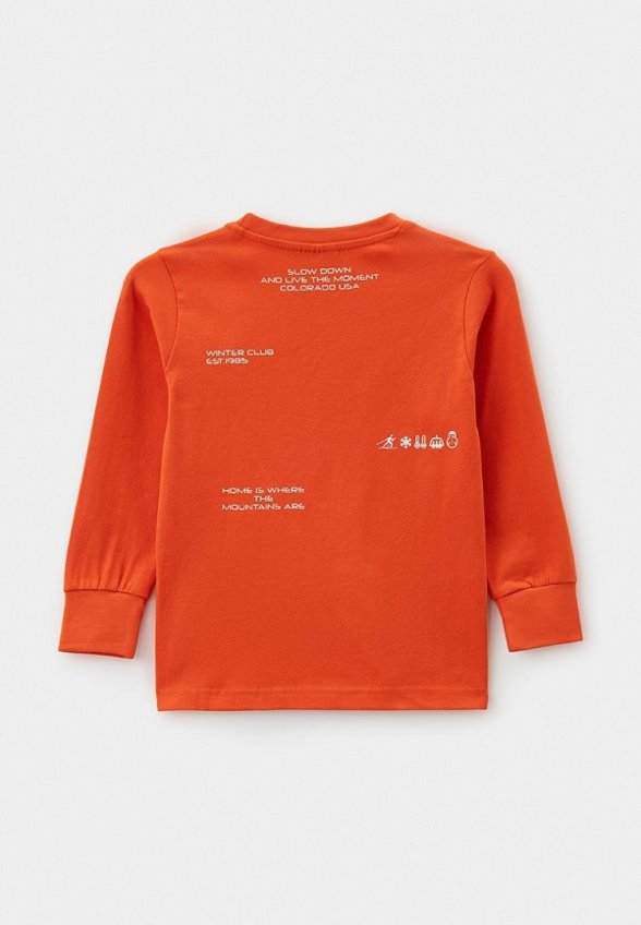 Лонгслив Aspen Polo Club