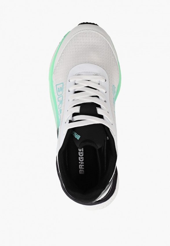 Кроссовки Briggs