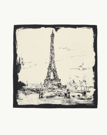 Dior Silk Scarf женщинам